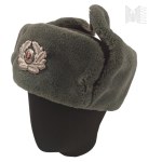 Germany/GDR/NVA - Nationale Volksarmee Military Winter Hat (Uszanka) Size 56