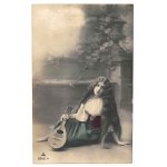 The Girl with the Mandolin