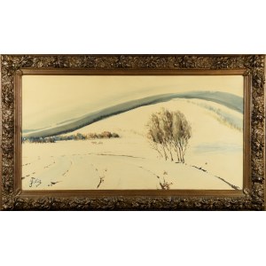 Julian FAŁAT (1853–1929), Winter