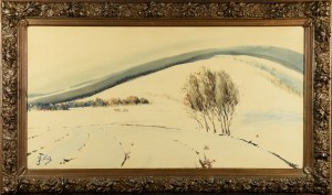 Julian FAŁAT (1853-1929), Zima