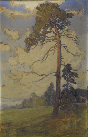 Janusz JAROSIEWICZ (1894-1974), Sosna, 1923