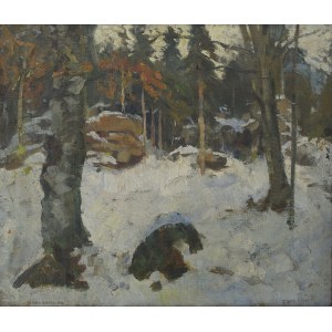 Teodor ZIOMEK (1874–1937), Forest in Winter, 1900?