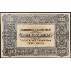 Ungheria, Regno, Miklós Horthy, 1.000 corone, 01/01/1920