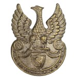 The Strzelecki Eagle