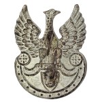 The Strzelecki Eagle