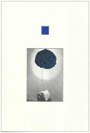 Yves Klein, Timbre bleu, 1959