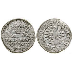 Polsko, groš, 1528, Krakov