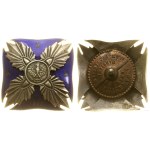 Poland, Cadet Corps No. 3 — commemorative badge (replica)
