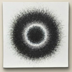 Jaremi PICZ (ur. 1955), Dark Matter Halo