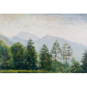 Irena WEISS - ANERI (1888-1981), Pejzaż górski