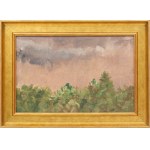 Michał GORSTKIN WYWIÓRSKI (1861–1926), Green Thickets Under a Gray Sky