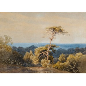 SAMOTNA SOSNA, 1863, MALARZ NIEMIECKI