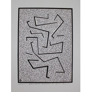 Henryk Płóciennik, Labirynt 5 (2003)