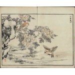 Kôno Bairei, Canaries and a Peony (from the series “Bairei hyakuchō gafu,” 1881)