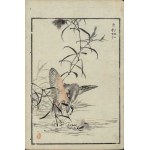 Kono Bairei, Kingfisher (from the series “Bairei hyakuchō gafu,” 1881)