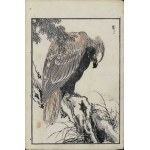 Kôno Bairei, Eagle (from the series “Bairei hyakuchō gafu,” 1881)