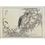 Kôno Bairei, A Shrike in the Thickets (from the “Bairei Gafu” series, 1905)