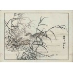 Kôno Bairei, A Little Grebe at Its Nest (from the “Bairei Gafu” series, 1905)