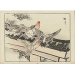 Kono Bairei, Domestic Pigeons (from the “Bairei Gafu” series, 1905)