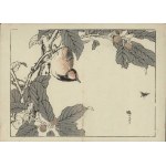 Kono Bairei, Japanese Red-flanked Bluebird (from the "Bairei Gafu" series, 1905)