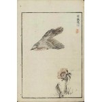 Kôno Bairei, Flying Bird (from the series “Bairei hyakuchō gafu,” 1881)