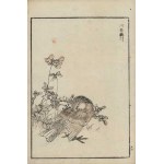 Kôno Bairei, Chinese Bellflower (from the series “Bairei hyakuchō gafu,” 1881)