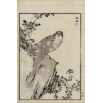 Kôno Bairei, Bird Perched on a Rock (from the series “Bairei hyakuchō gafu,” 1881)