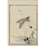 Kôno Bairei, *The Lark* (from the series “Bairei hyakuchō gafu,” 1881)