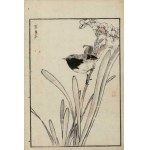 Kono Bairei, A Bird on the Stem of a Blooming Daffodil (from the series “Bairei hyakuchō gafu,” 1881)