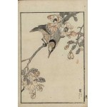 Kôno Bairei, The Titmouse (from the series “Bairei hyakuchō gafu,” 1881)
