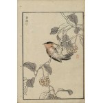 Kôno Bairei, Flycatcher (from the series “Bairei hyakuchō gafu,” 1881)