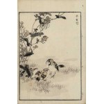 Kono Bairei, Sparrows (from the series “Bairei hyakuchō gafu,” 1881)