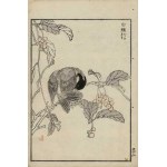 Kôno Bairei, Titmouse (from the series “Bairei hyakuchō gafu,” 1881)