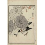 Kôno Bairei, The White-Faced Bilbil (from the series “Bairei hyakuchō gafu,” 1881)