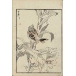 Kono Bairei, A Bunting on a Blooming Lily (from the series “Bairei hyakuchō gafu,” 1881)