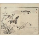 Kono Bairei, Geese (from the series “Bairei hyakuchō gafu,” 1881)