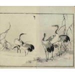 Kono Bairei, Cranes (from the series “Bairei hyakuchō gafu,” 1881)