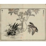 Kono Bairei, *The Bathing Bird and the Bunting* (from the series “Bairei hyakuchō gafu,” 1881)