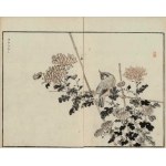 Kono Bairei, Bilbil, and Chrysanthemums (from the series “Bairei hyakuchō gafu,” 1881)