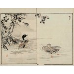 Kono Bairei, Ducks (from the series “Bairei hyakuchō gafu,” 1881)