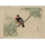 Matsumura Keibun, *The Woodpecker* (from the series “Keibun Kachō Gafu,” Osaka, 1892)