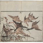 Katsushika Taito II (active ca. 1810–1853), Geese and Ducks (from the “Kachō Gaden” series, 1849)