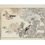 Kikuchi Hōbun, Birds and Chrysanthemums (from the "Hōbun gafu" series, published by Tanaka Jihē, 1890, Kyoto)