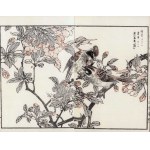 Kikuchi Hōbun, Sparrows (from the “Hōbun Gafu” series, published by Tanaka Jihē, 1890, Kyoto)