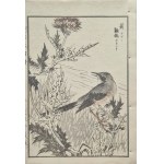 Kikuchi Hōbun, “The Grasshopper and the Thistle” (from the series “Hōbun Gafu,” published by Tanaka Jihē, 1890, Kyoto)