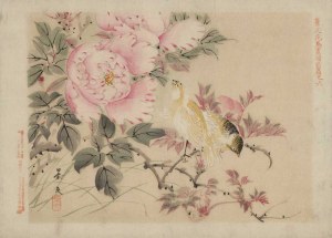 Matsumura Keibun wg, Ptaki i peonie(z cyklu „Keibun Kachō Gafu”, Osaka 1892)