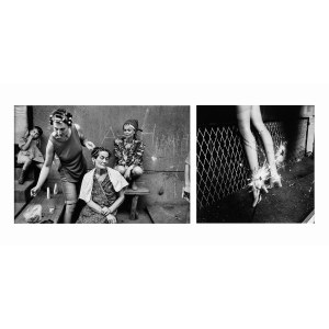 Peter Arthur Hutchinson, Peter Arthur Hutchinson (1930–2025) — Sarajevo; Cluj, Bosnia, 1993; 1990