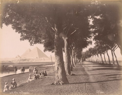 Pascal Sébah, Pascal Sébah (1823 - 1886) - Allée des Pyramides, 1870s/1880s