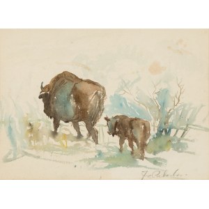Jerzy Potrzebowski (1921 - 1974), « Les bisons »