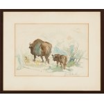 Jerzy Potrzebowski (1921 - 1974), « Les bisons »